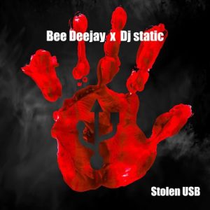 Bee Deejay & Dj Static – Stolen Usb Ft. Dj Static
