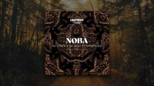 Dj Tomer & Ricardo – Noba Ft. Naakmusiq – Noba [Radio Mix]
