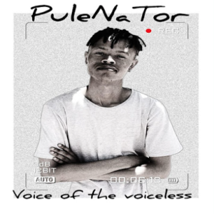 PuleNaTor - Voice of the voiceless (Amapiano) (ft. MhapenGupTa SA) (Radio Edit)