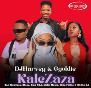 DJHarvey & Ggoldie - KaleZaza ft. Zee Nxumalo, Chley,Tma RSA, Mafis Musiq, Wise Fellas, Chillie SA