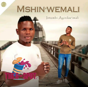 Mshinwemali ft Zanothando- Ngicela uhambe