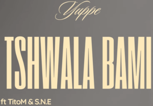 Tshwala bami mp3 download