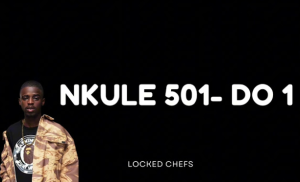 Nkule 501 - Do 1