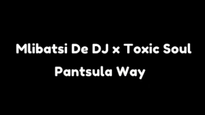 Mlibatsi De Djy x Toxic Soul - Pantsula way