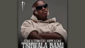 we tshwala bami mp3 download