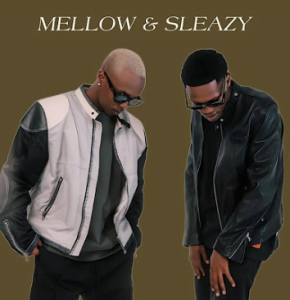 Mellow & Sleazy - Nkalakatha ft. Chley