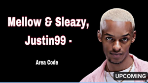 Mellow & Sleazy, Justin99 - Area Code