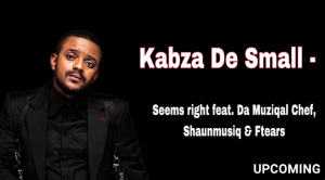 Kabza De Small - Seems Right ft. Da Muziqal Chef, Shaunmusiq & Ftears
