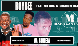 Roybee Sa ft Mr Rox & Cranium Black - Wa Njolela