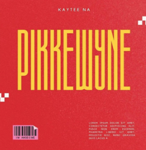 Mega - Pikkewyne (Kaytee Remix)