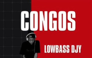 Lowbass Djy - Congos