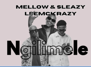 Mellow & Sleazy ft. Leemckrazy - Ngilimele