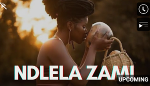Nkosazana Daughter & Makhadzi - Ndlela Zami x Master KG x Kabza Da Small , LeeMckrazy & Dj KSB 2024