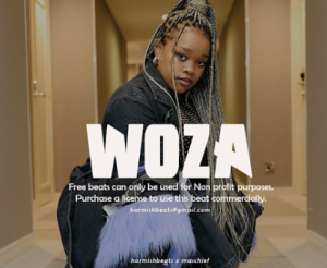Kabza De Small, Dj Maphorisa, Busta929 ft boohle & Nkosazana Daughter - Woza